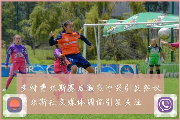 多特费尔斯赛后激烈冲突引发热议费尔斯社交媒体调侃引发关注