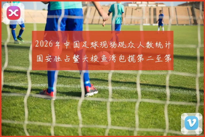 2026年中国足球现场观众人数统计国安独占鳌头梭鱼湾包揽第二至第七位